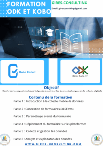 flyer formation odk kobo