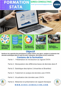 flyer formation stata